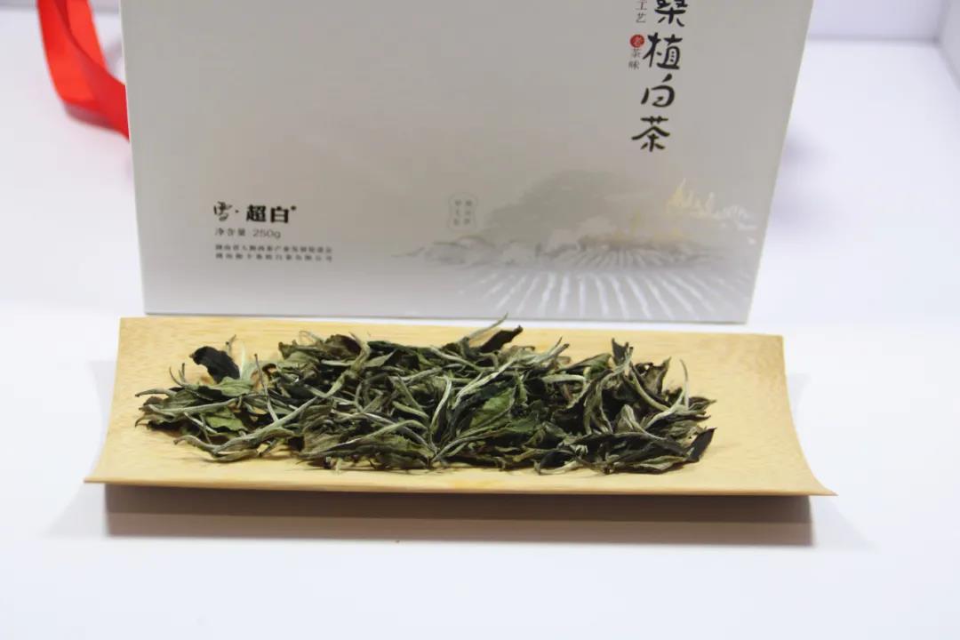 3d880f95856f787b6529c0e45acd72ba.jpg